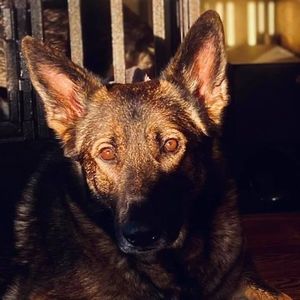 Meet your Posher, Angelé